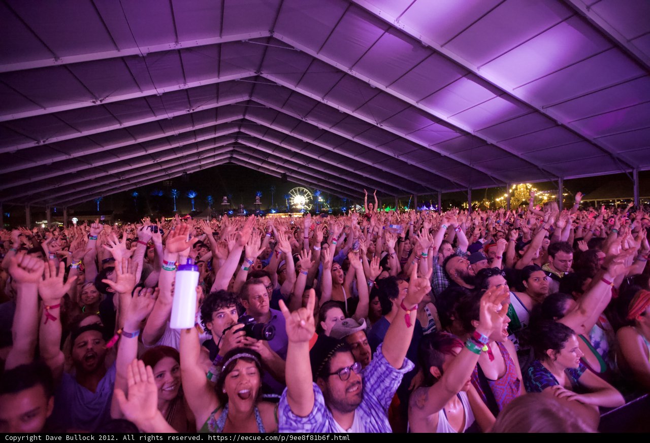 Coachella Crowd Goes Wild