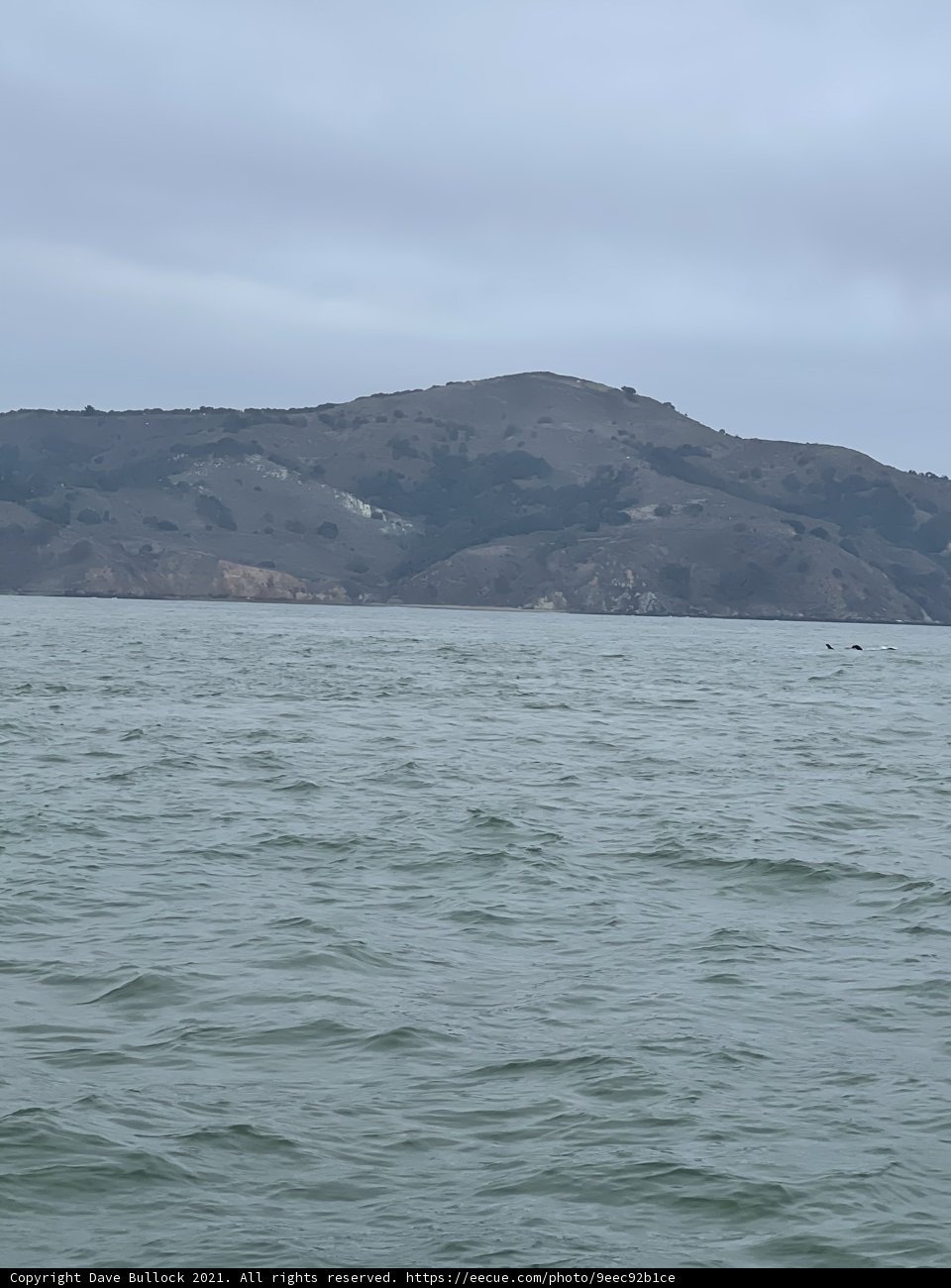 The Majestic San Francisco Bay