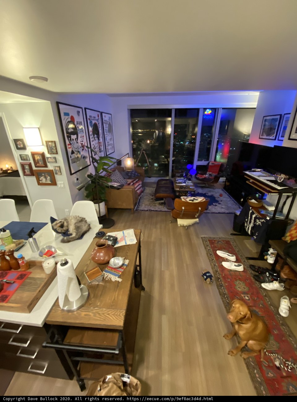 Cozy Living Room Hangout with Furry Friend