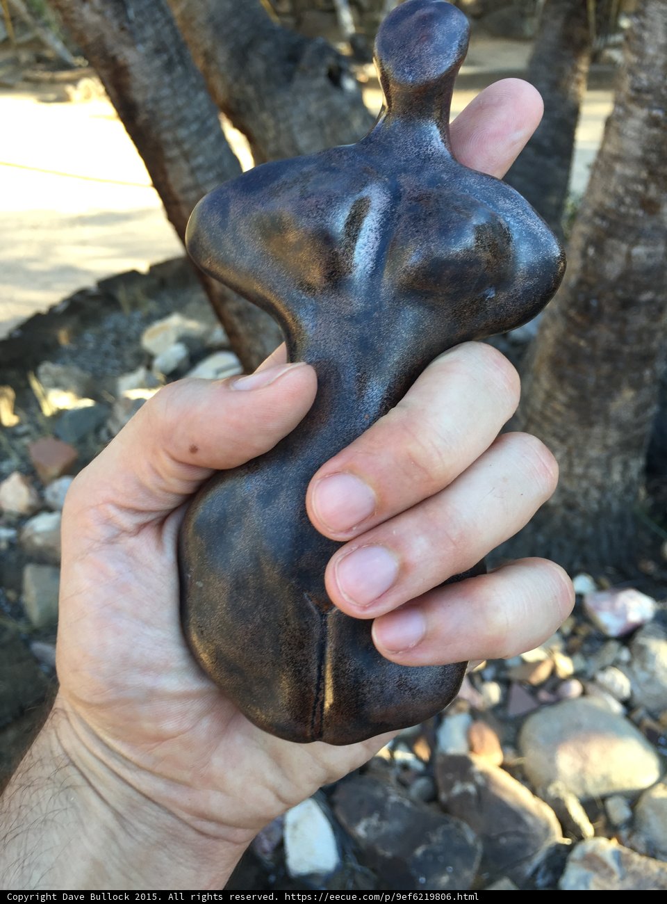 The Woman in the Palm