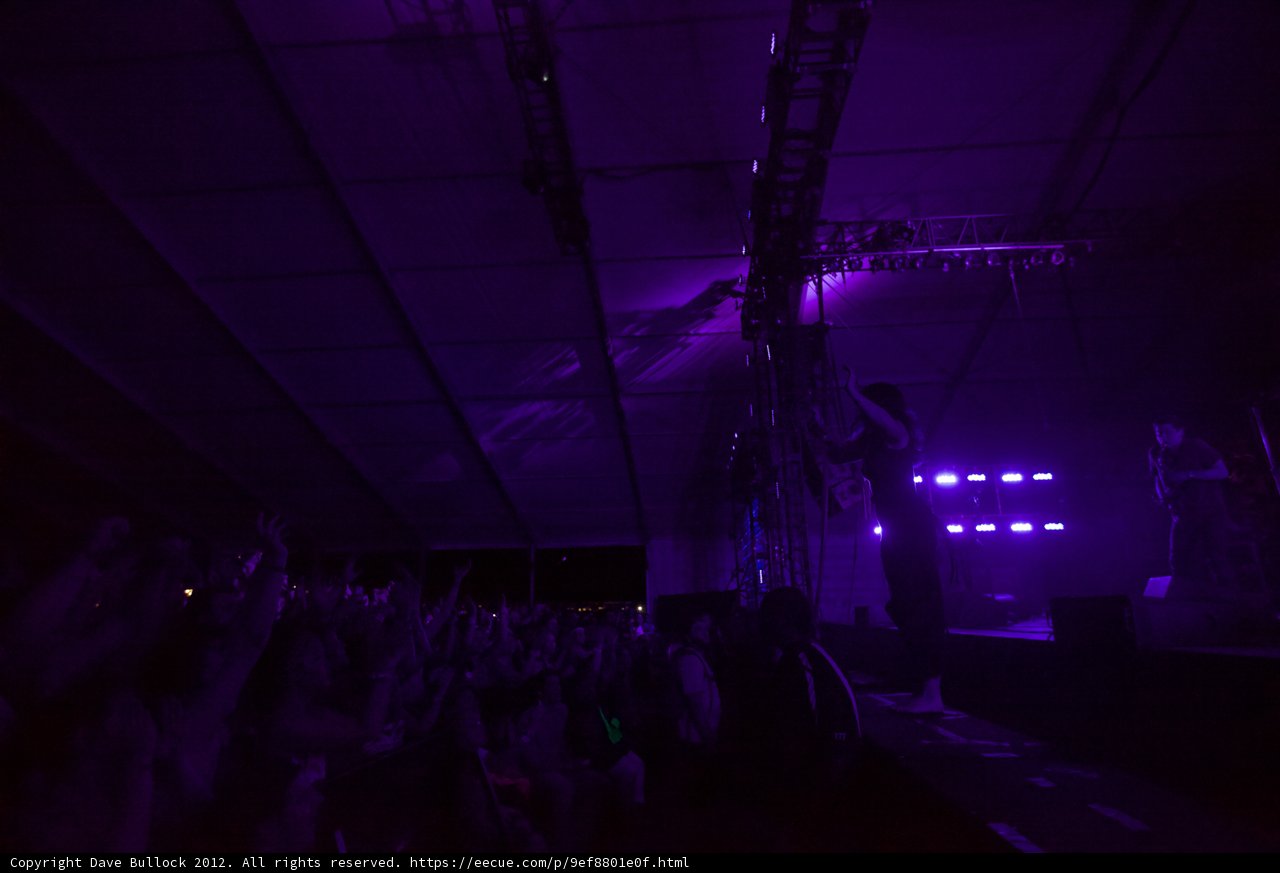 Purple Haze at Coachella