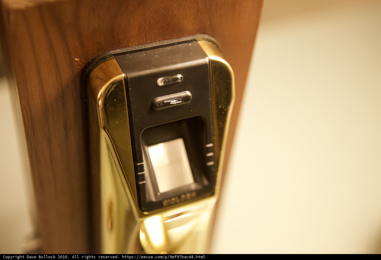 The Gold Handle of Distinction