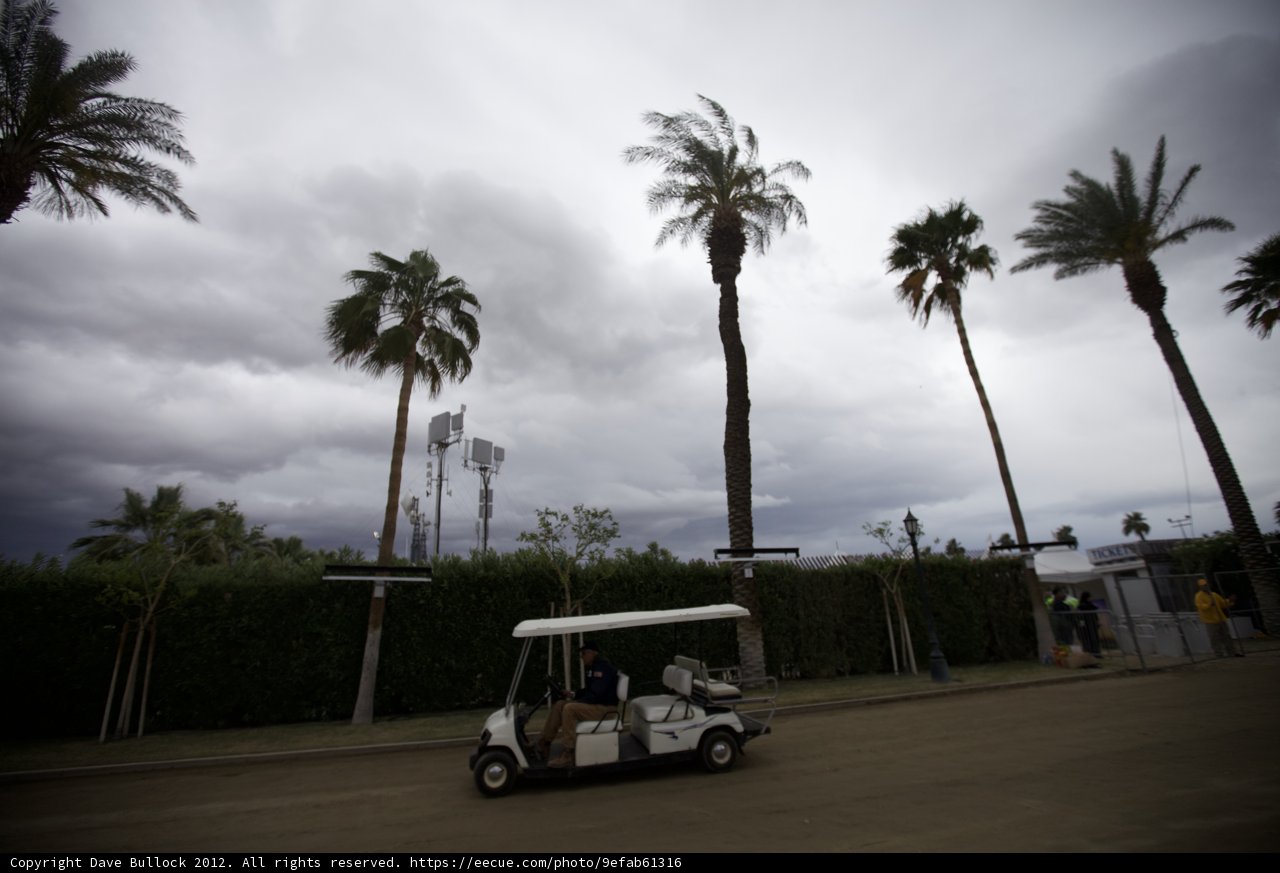Parked Golf Cart Under Palm Trees
