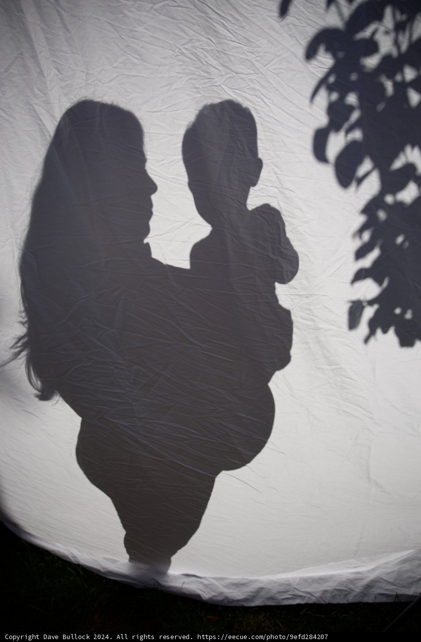 Embraced by Nature's Silhouette