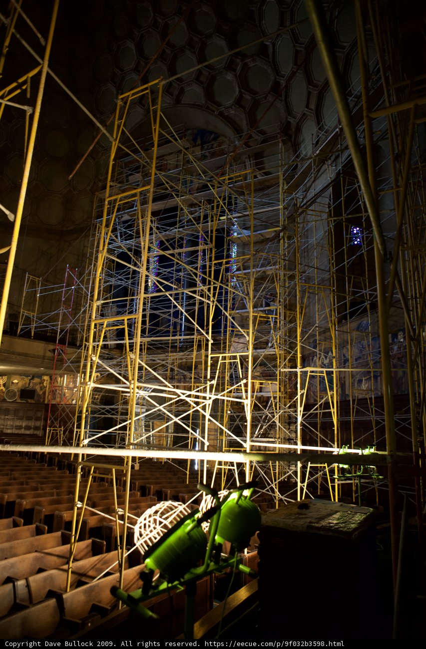 Turtle in the Scaffolding