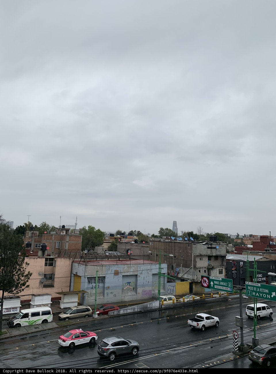 Urban Jungle