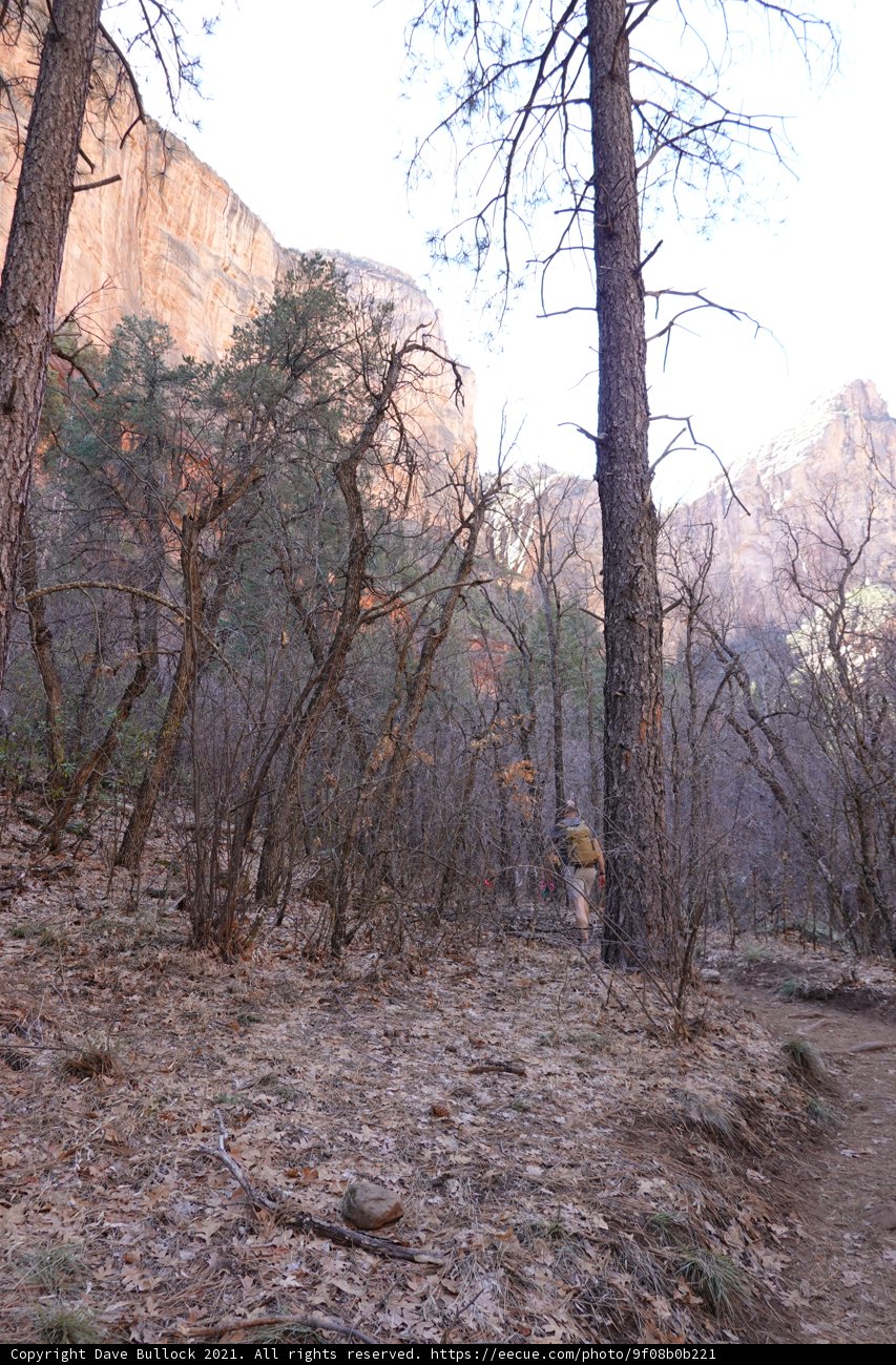 Into the Wilderness