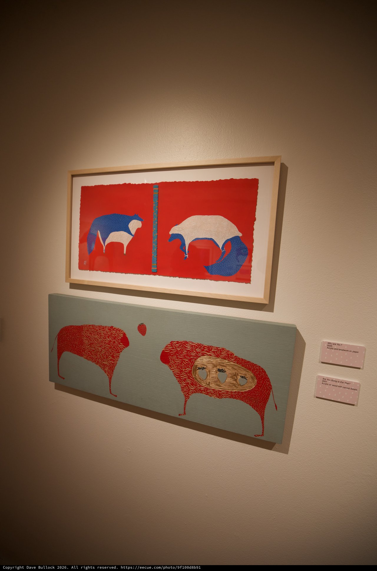 Contemporary Indigenous Art Display in Gallery Setting