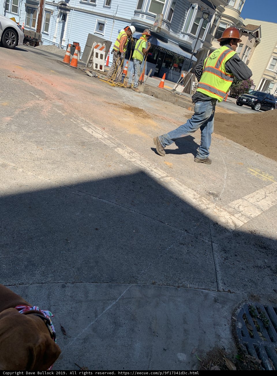 A Canine Companion on the Construction Site
