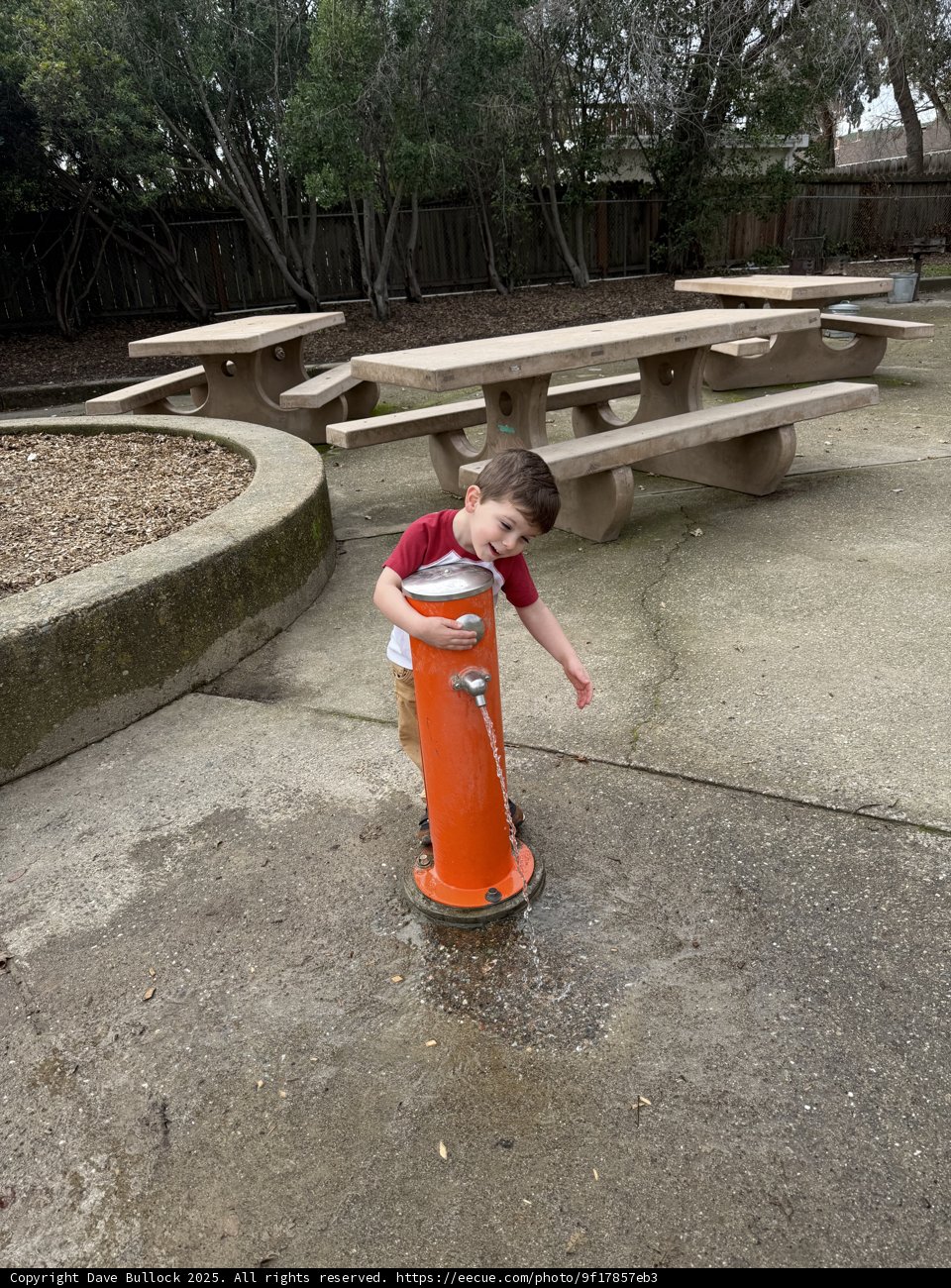 Playful Delight at Larkey Park