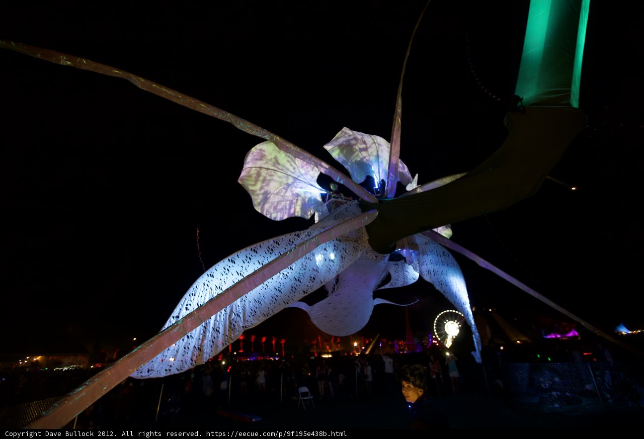 Illuminated Iris Sculpture