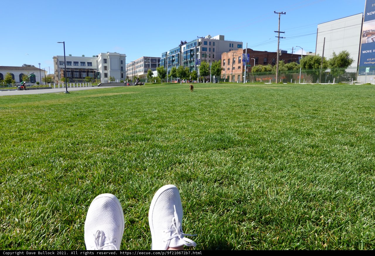 Sneakers on the San Francisco lawn