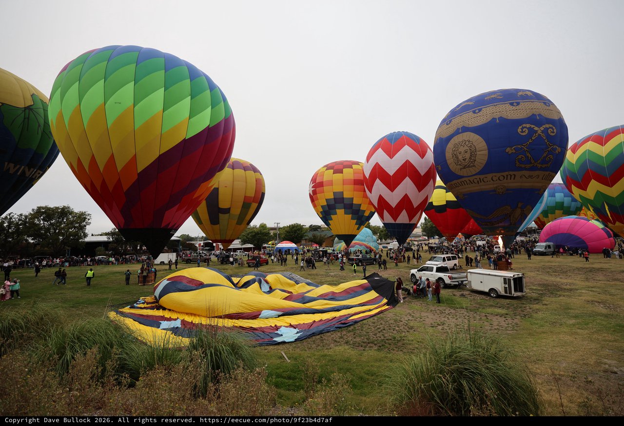 Colorful Hot Air Balloons Fill the Sky at Classic Festival