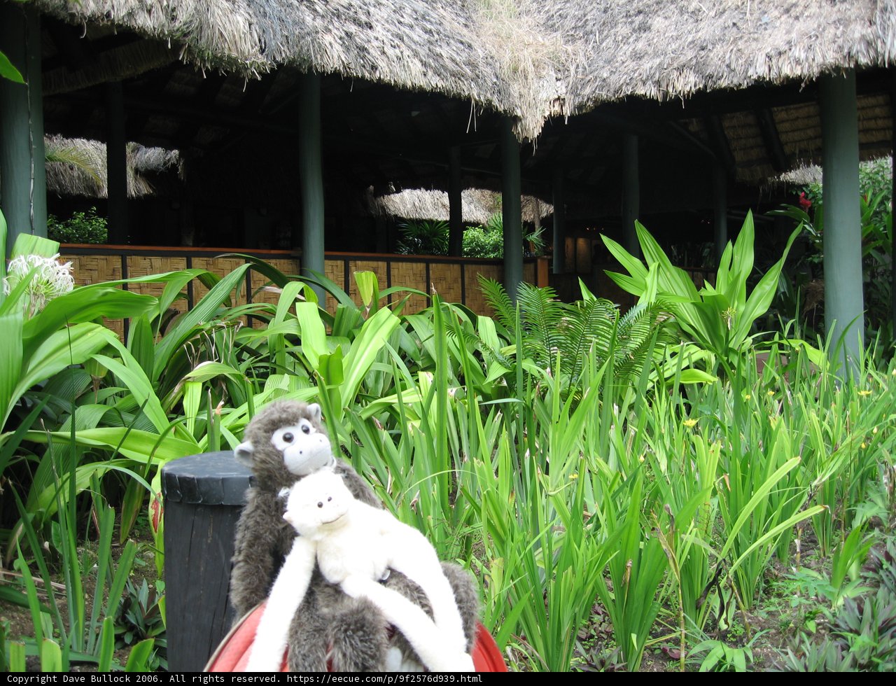 Monkey on a Countryside Hut Bench