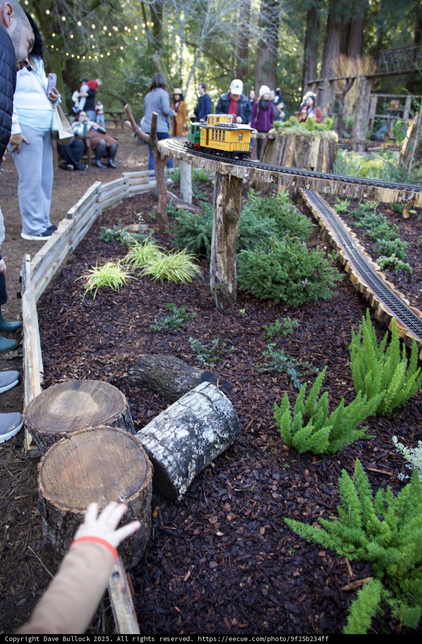 Enchanted Woodland Gathering
