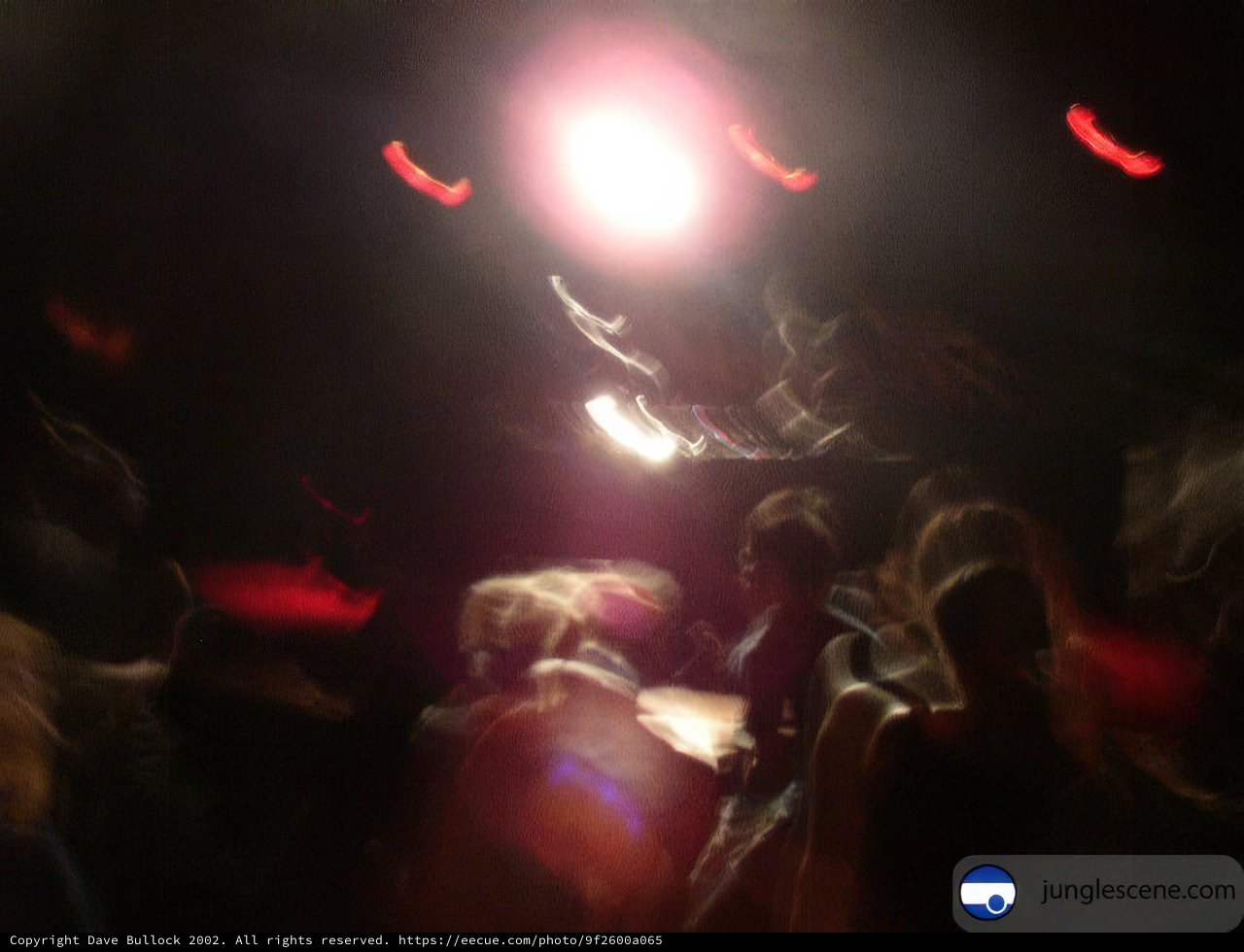 Spotlight on the Dancefloor