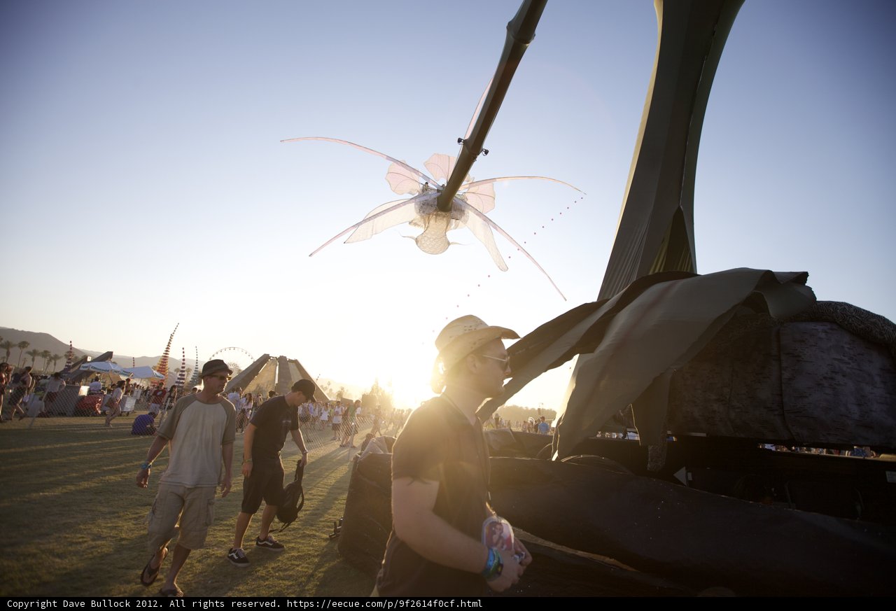 Kite-flying Fun in the Coachella Field