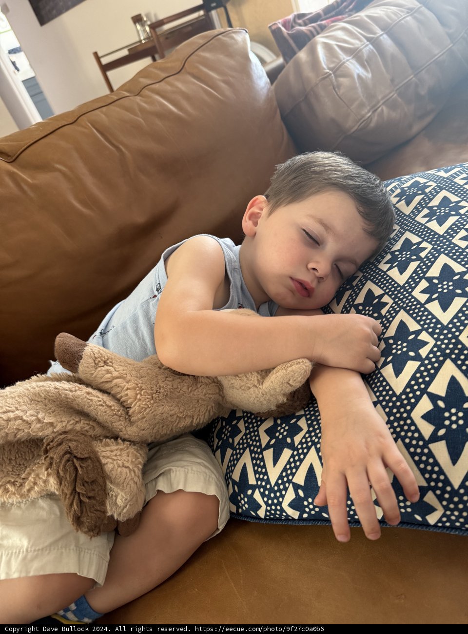 Afternoon Dreams