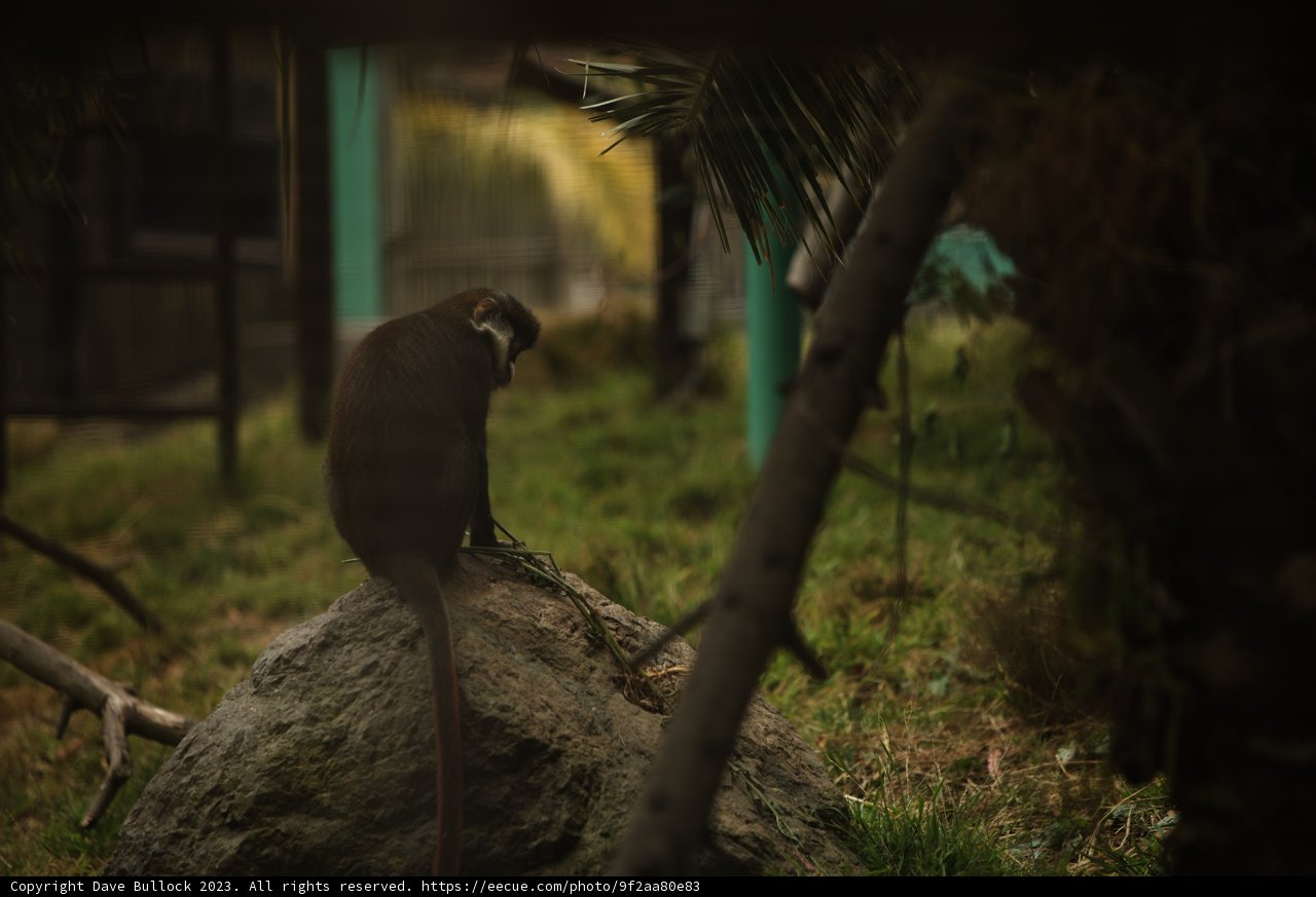 Serene Sunday at the Oakland Zoo