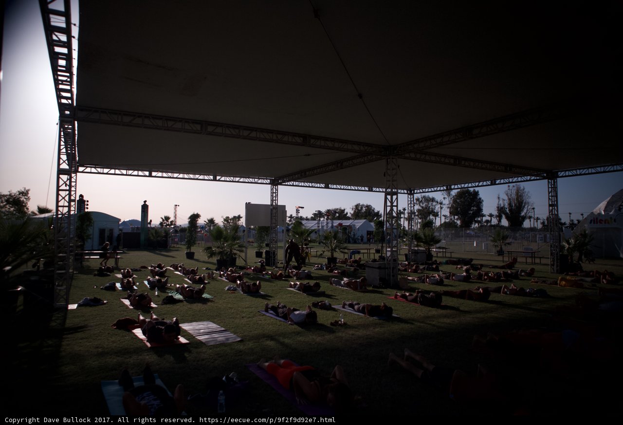 Sun Salutations in the Grass