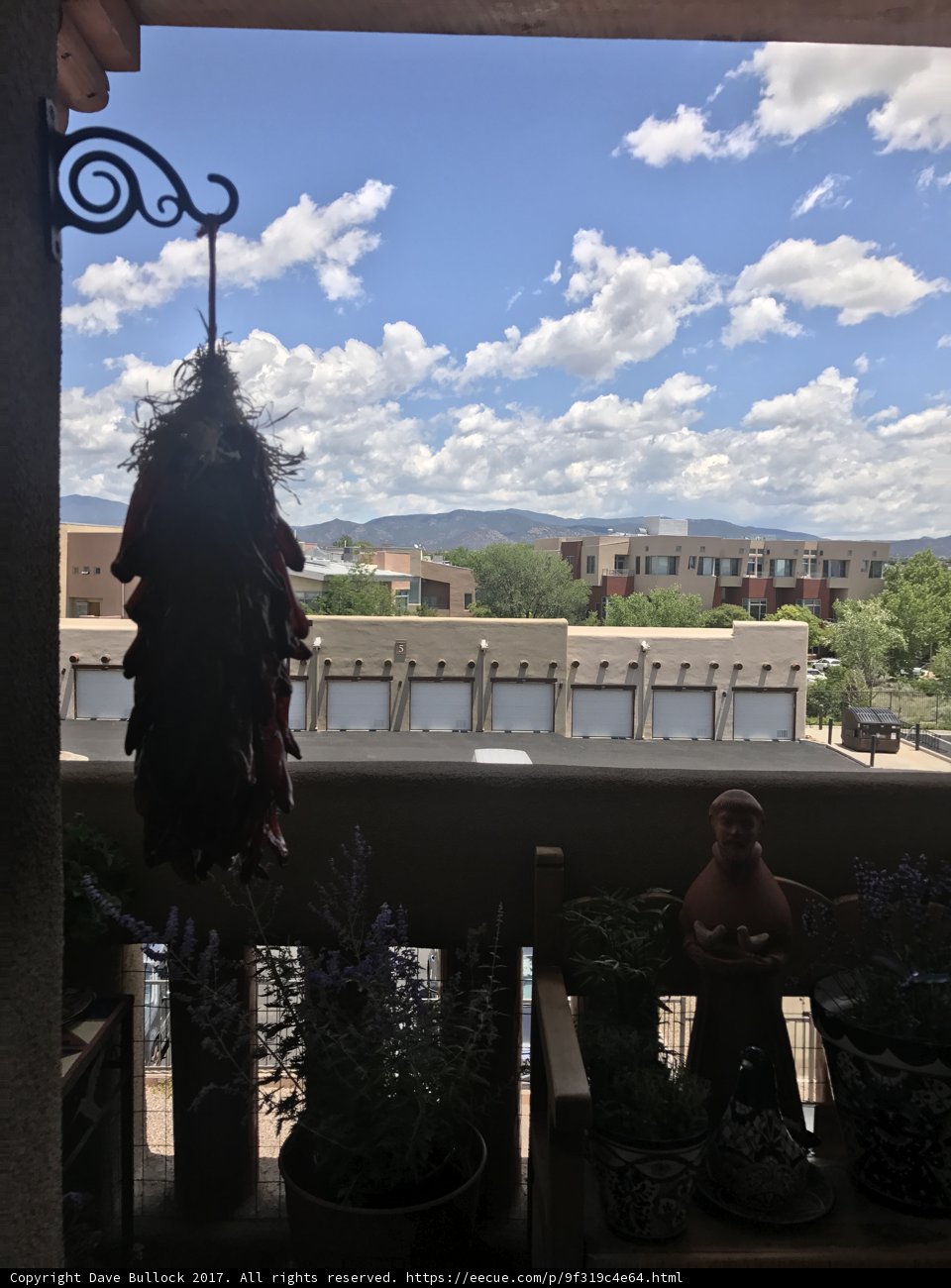 Mountain View Oasis