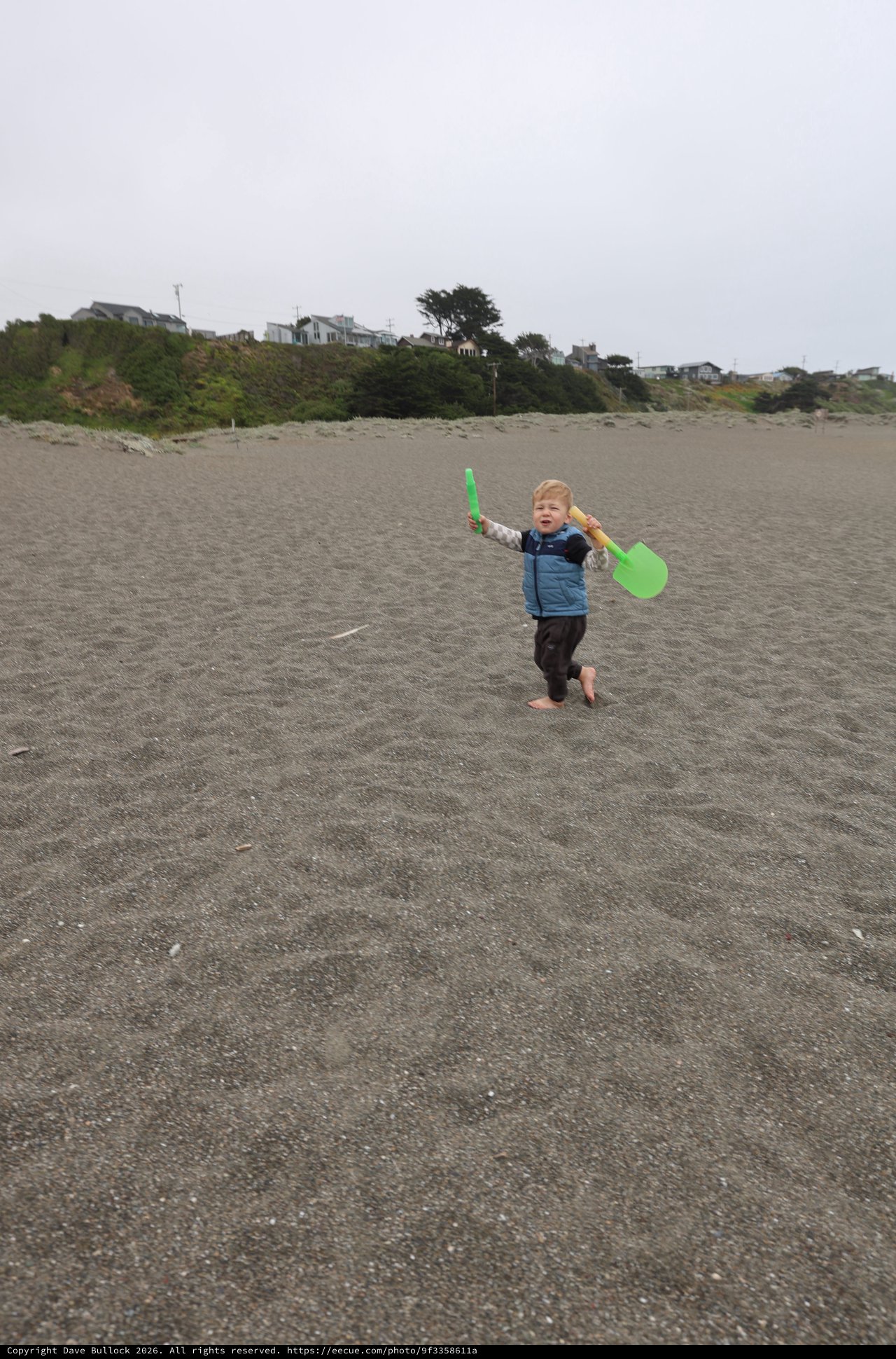 Barefoot Toddler Triumphant with Beach Shovels