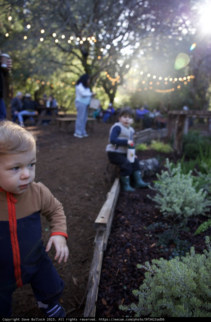 Garden Play Adventures