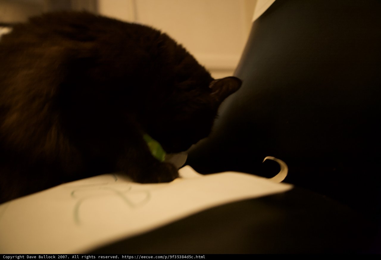 Midnight Playtime