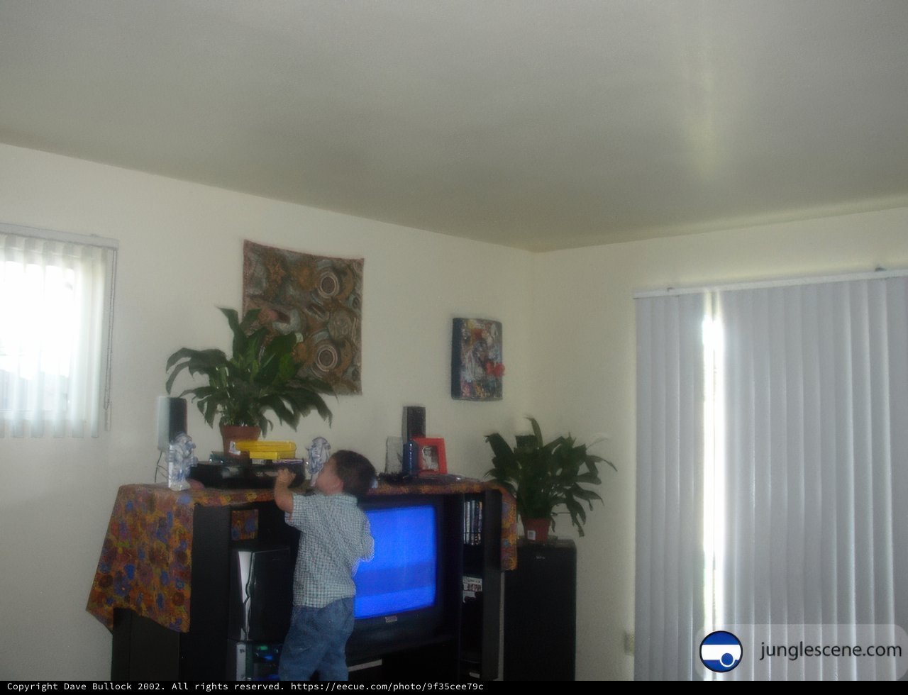 Young boy watching TV in living room