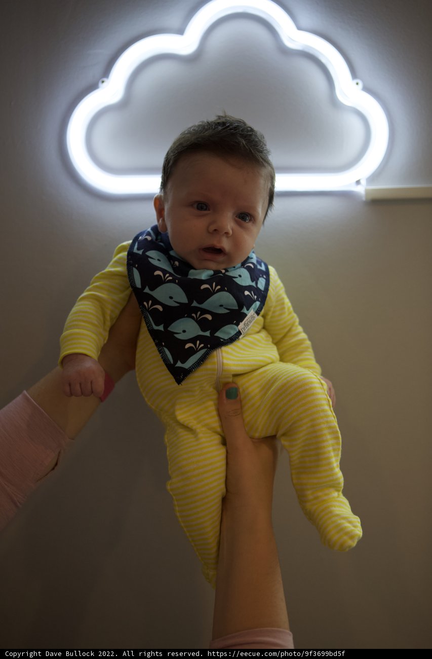 Neon Dreams: Wesley's 2nd Month Celebration