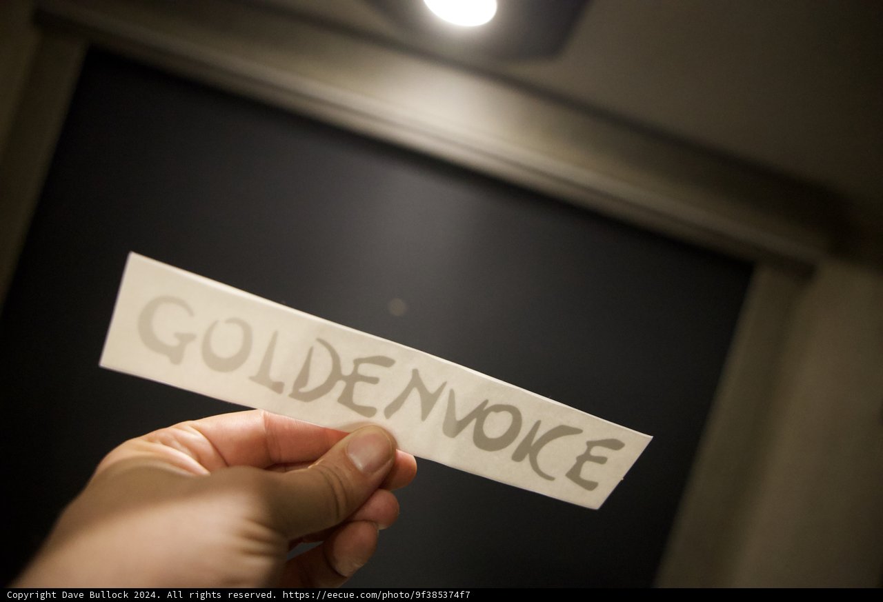 Golden Voice in the Shadows