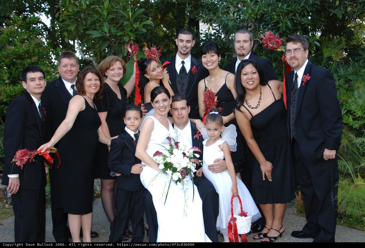 Joyful Wedding Party Portrait in Garden Setting
