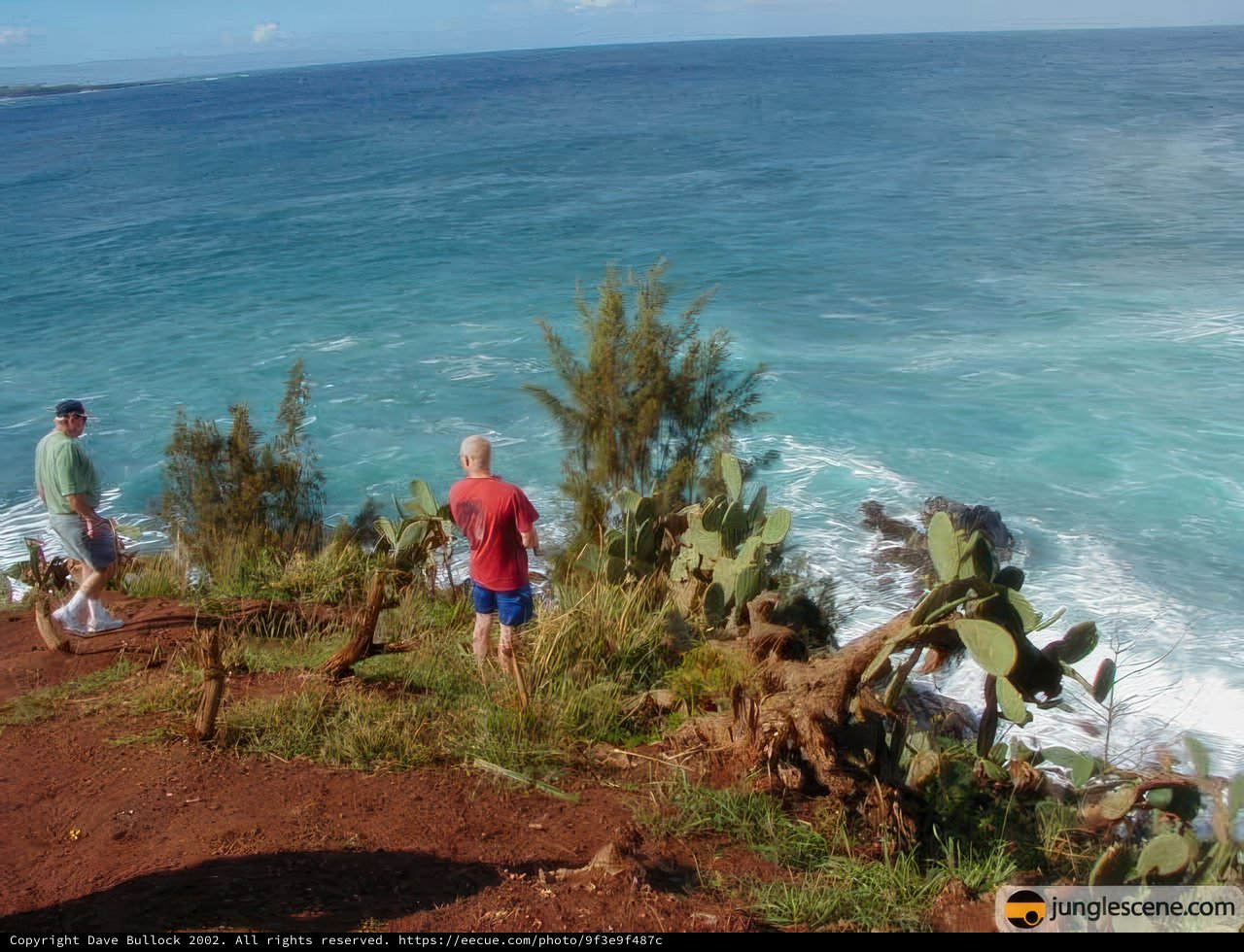 Cliffside Contemplation