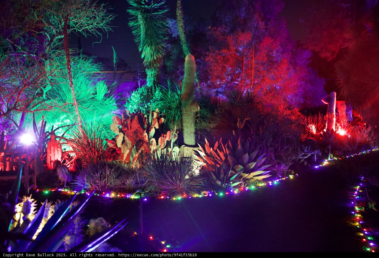 Enchanted Night at Garden of D'Lights