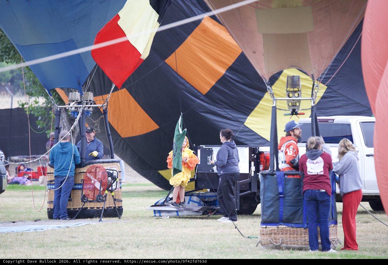 Ground Crew Prepares Hot Air Balloons for Launch