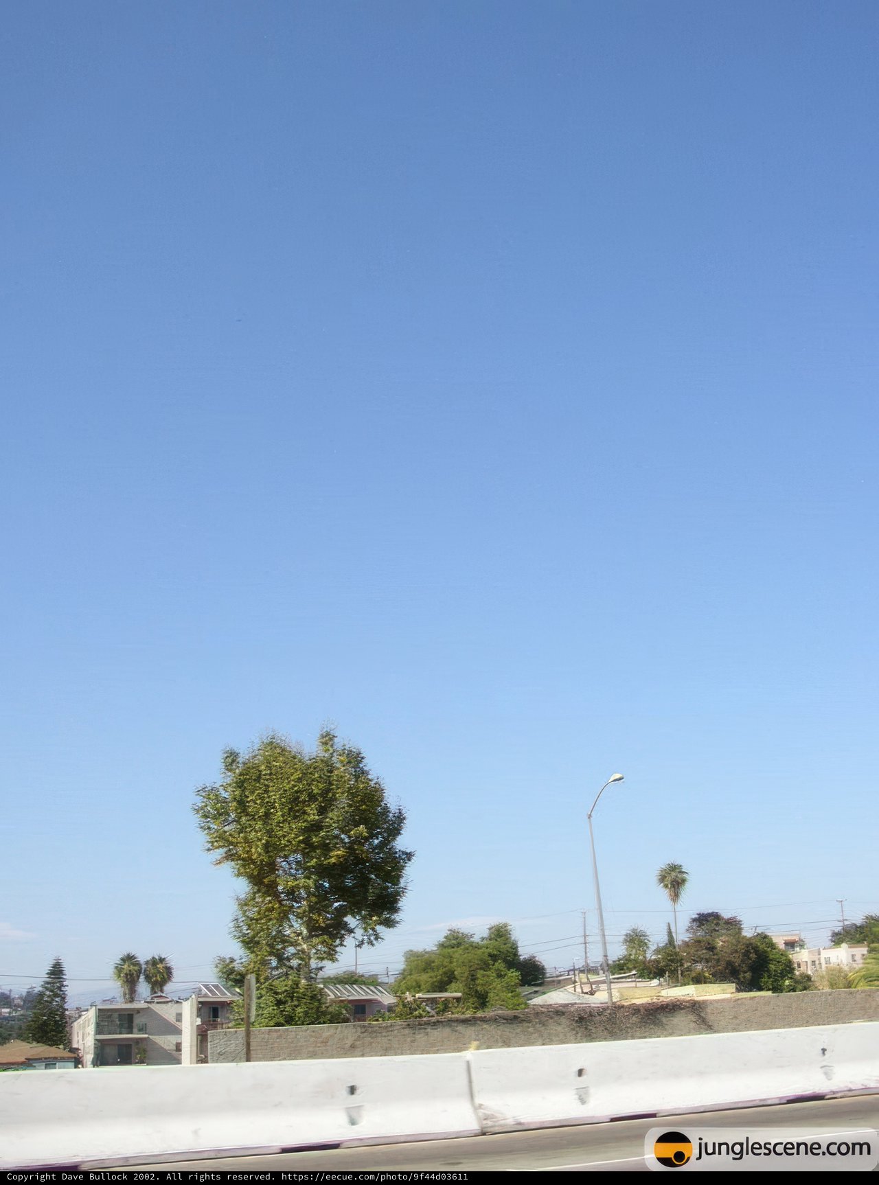 Cruising under a sky blue canopy