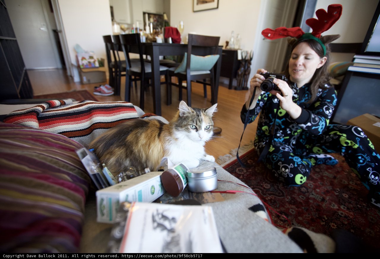Christmas Morning Photography: Feline Model and Her Person
