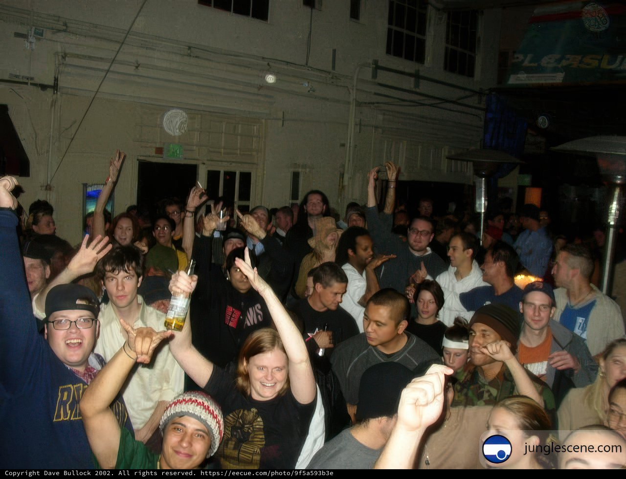 Partygoers with Hands Up