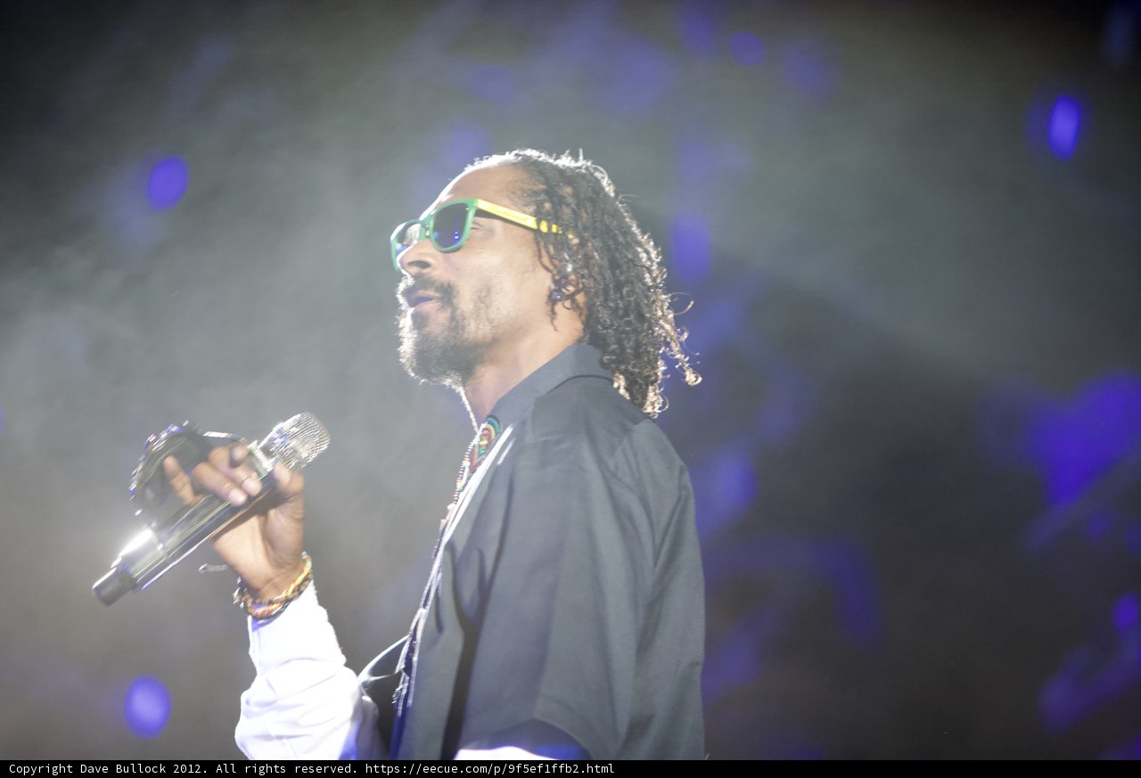 Snoop Dogg Rocks the Super Bowl Halftime Show