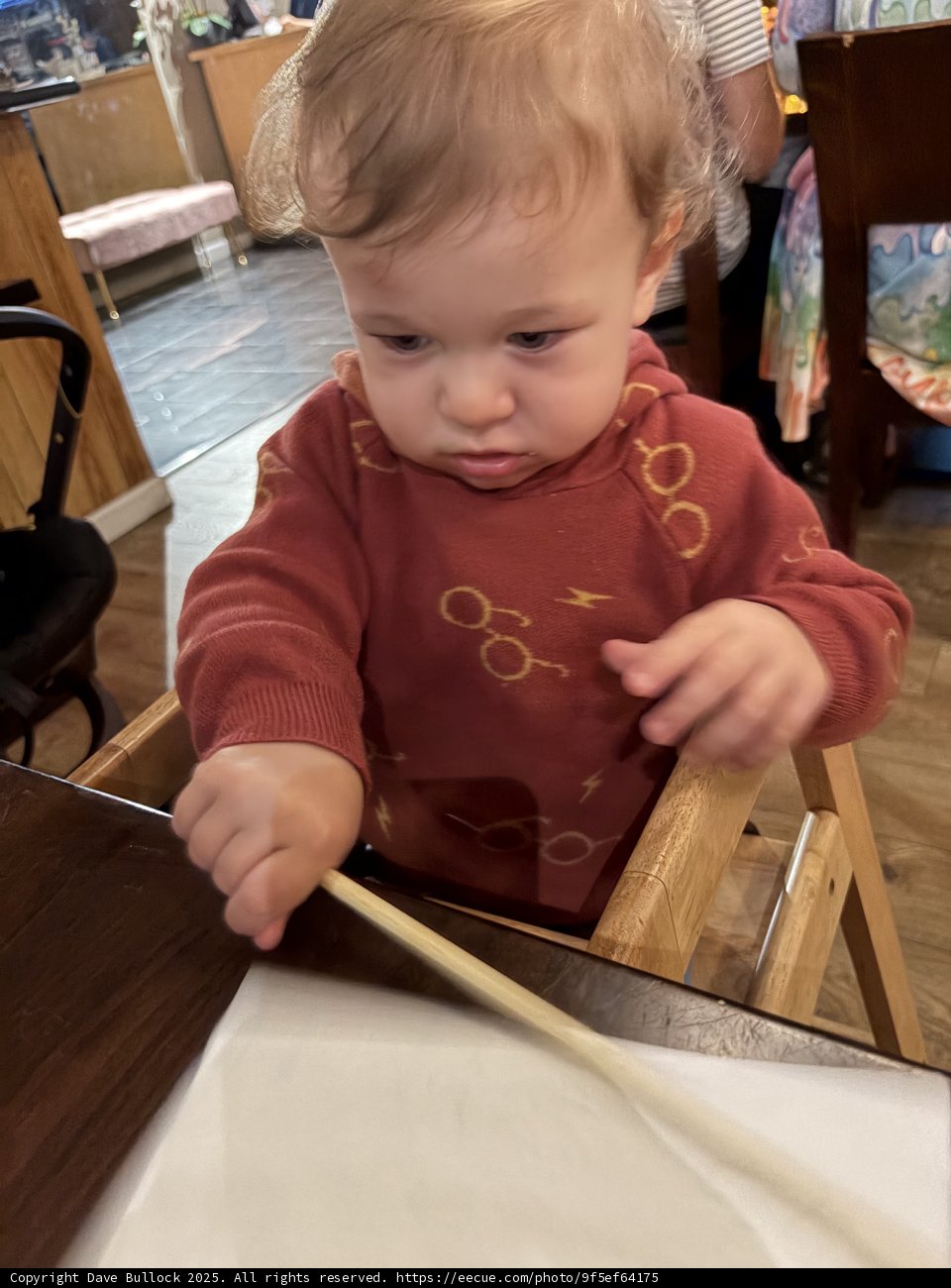 Curious Explorations