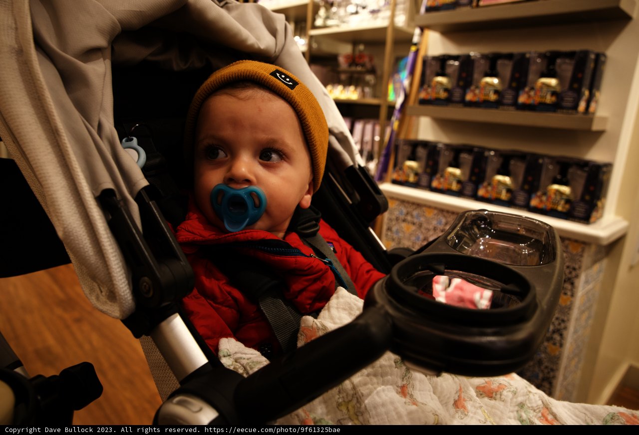 Wesley's Disneyland Adventure