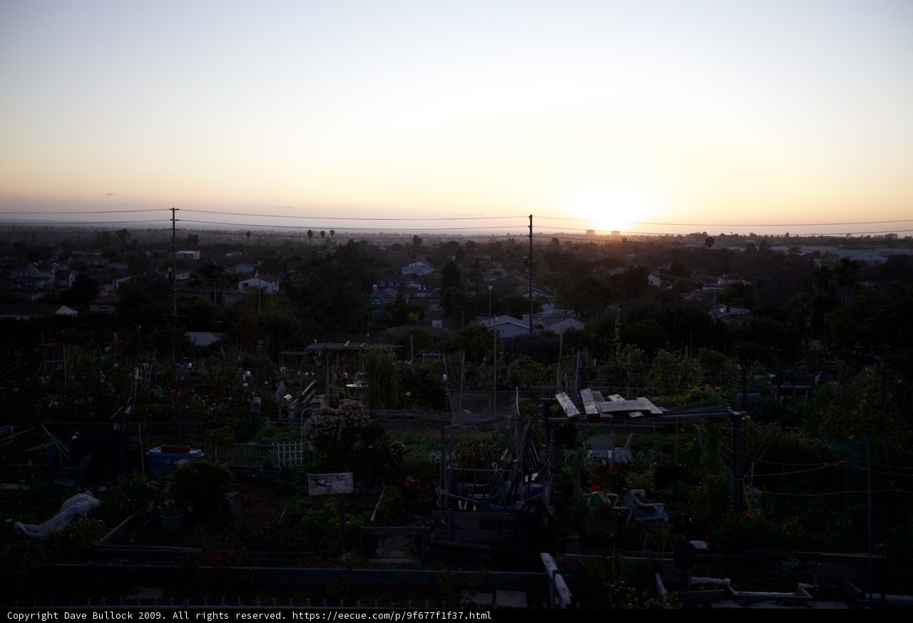 Garden Oasis Sunset