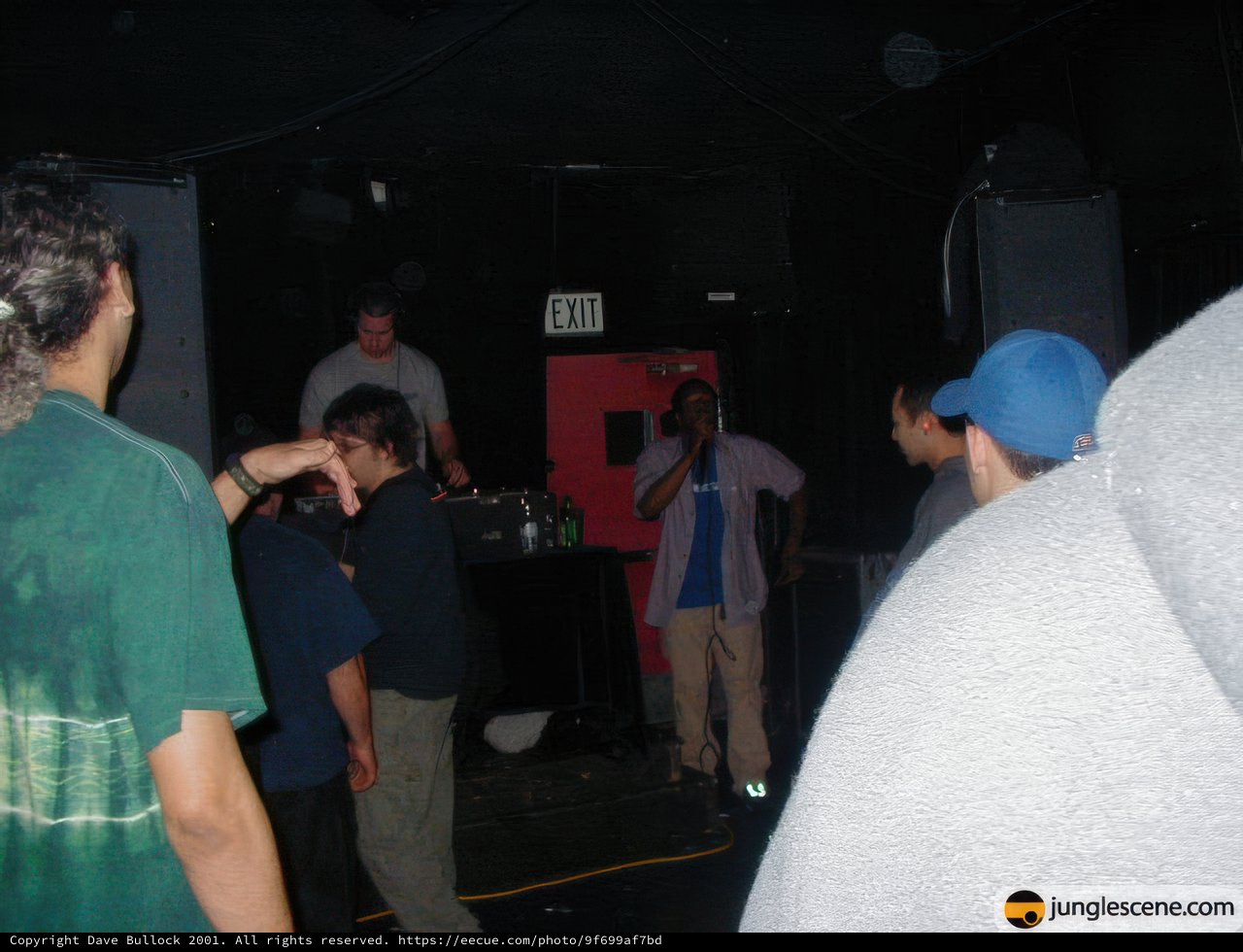 Nightclub Performance