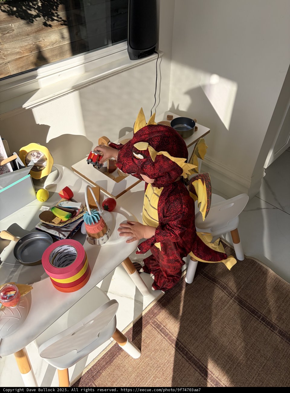 Little Dragon's Indoor Adventure