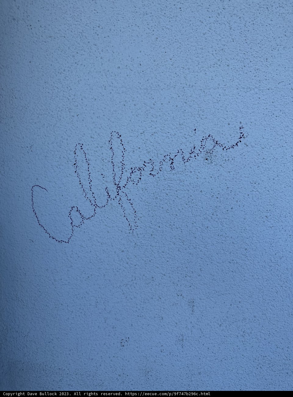 Handwritten note on a brick wall
