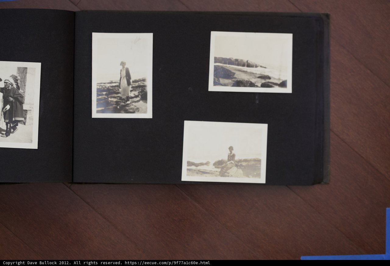 2012 Curtis Family Album: Capturing History