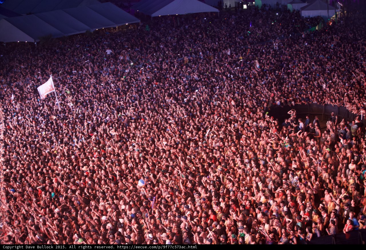 Rocking with the Crowd