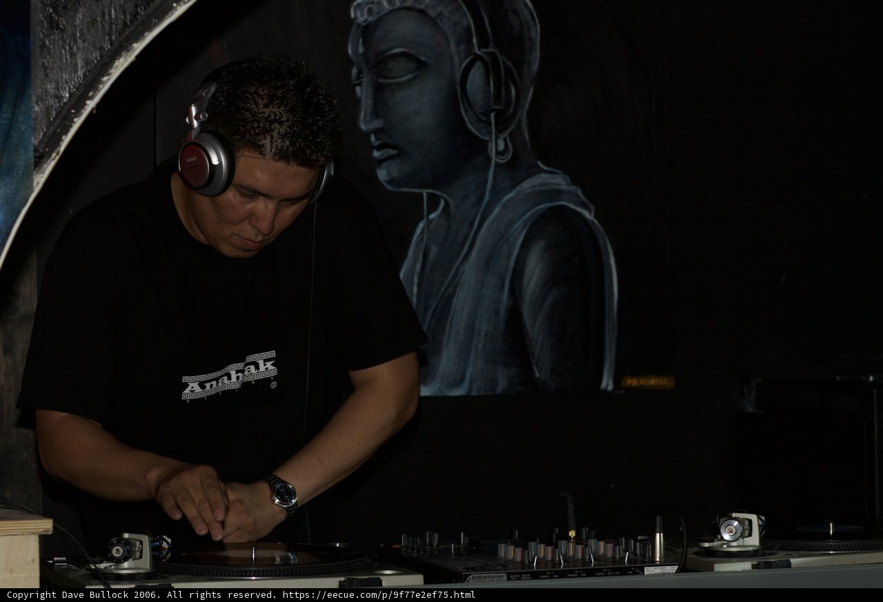 The DJ's Musical Playground