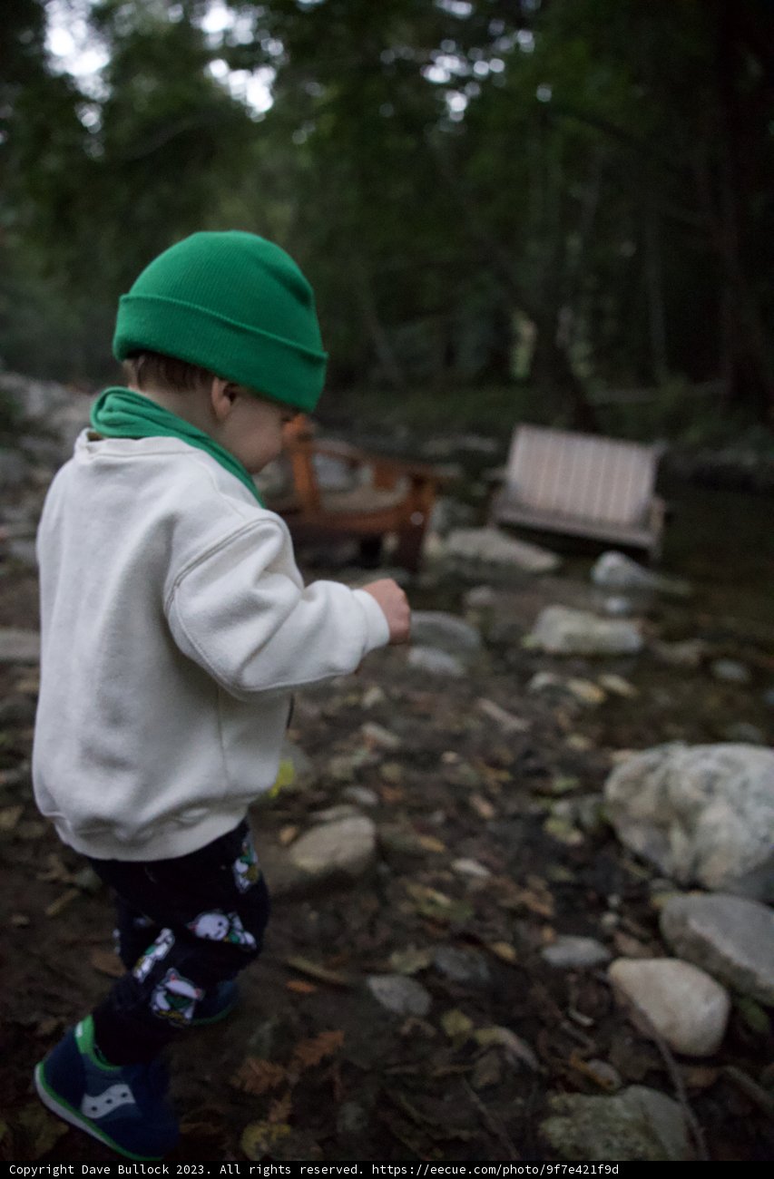 Big Sur Adventure: Wesley's Journey