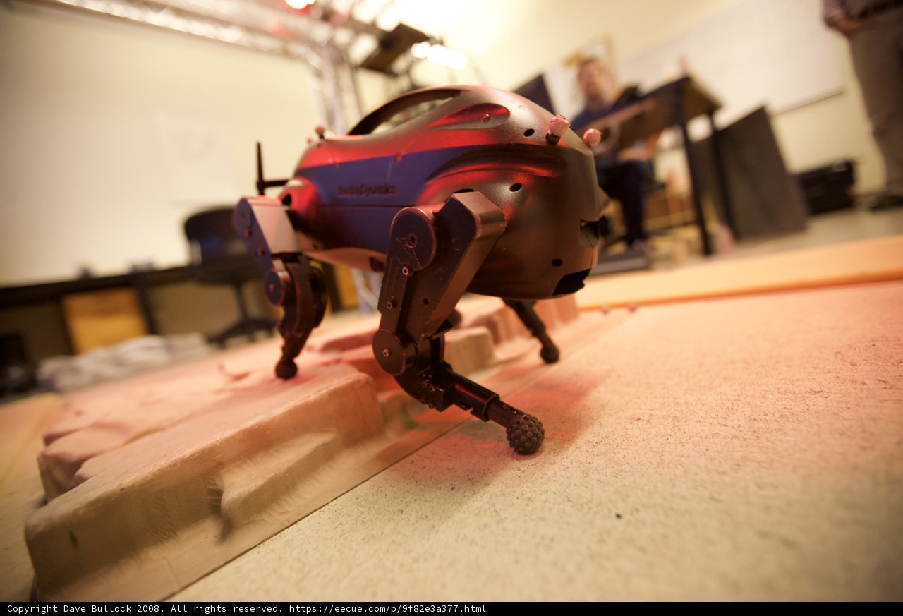 The Robot's Woodland Adventure